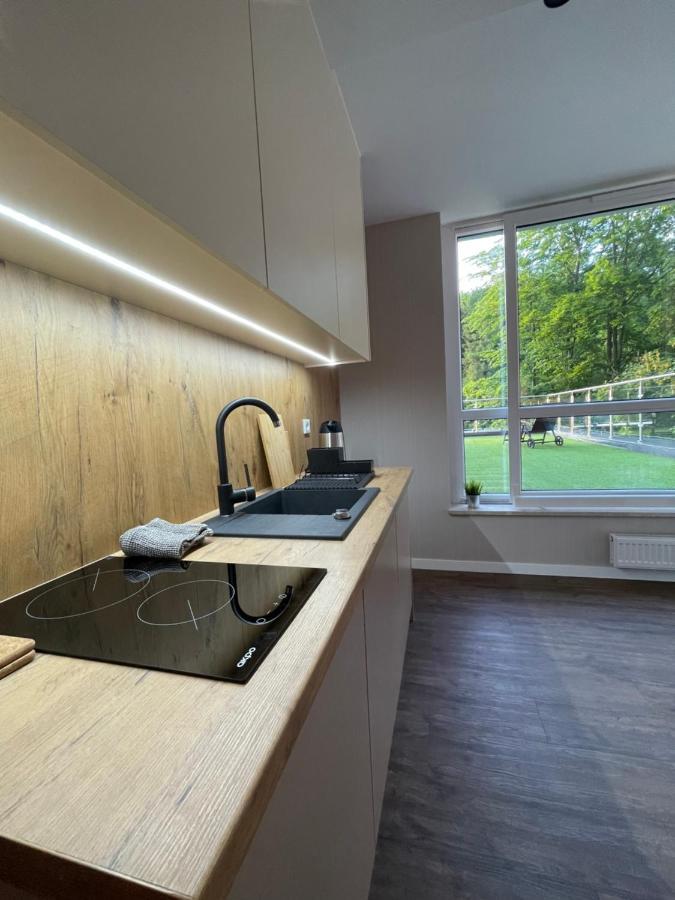 Apartament Kurort Kozubnik - Taras Nad Potokiem Porąbka Exteriér fotografie