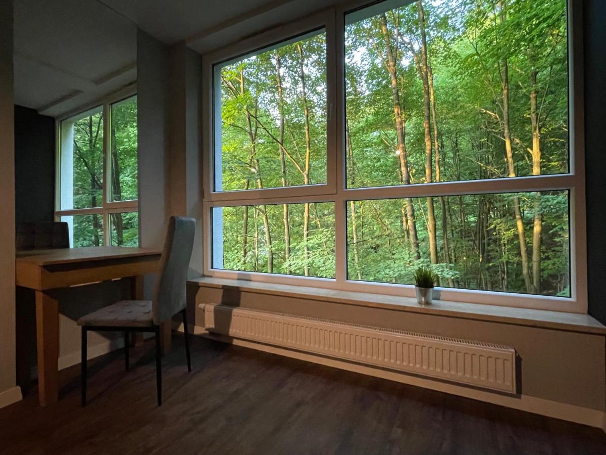 Apartament Kurort Kozubnik - Taras Nad Potokiem Porąbka Exteriér fotografie