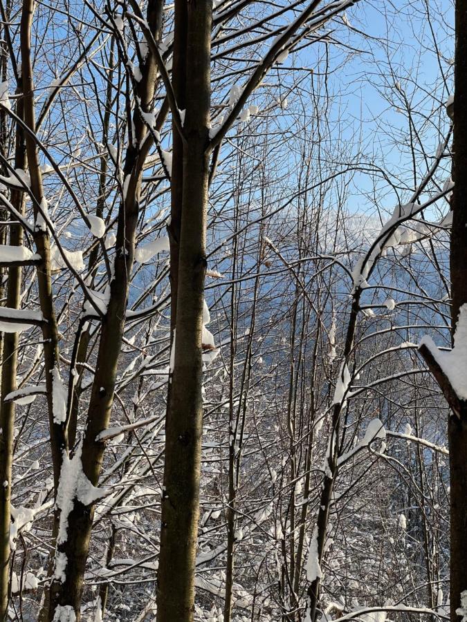 Apartament Kurort Kozubnik - Taras Nad Potokiem Porąbka Exteriér fotografie