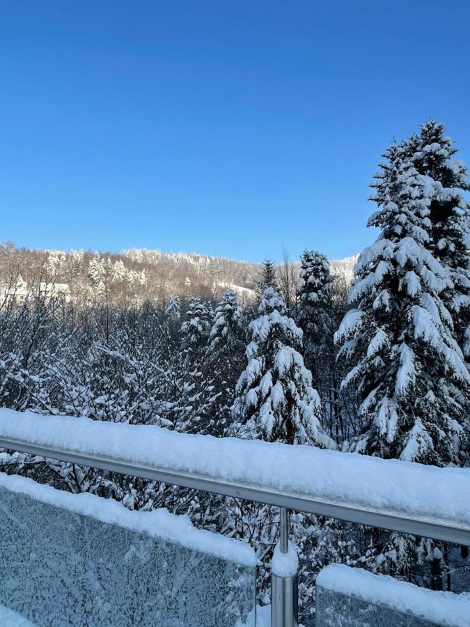 Apartament Kurort Kozubnik - Taras Nad Potokiem Porąbka Exteriér fotografie