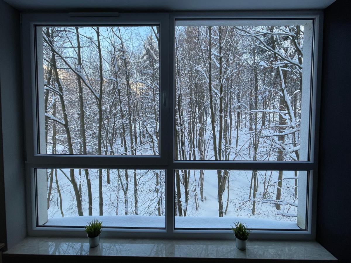 Apartament Kurort Kozubnik - Taras Nad Potokiem Porąbka Exteriér fotografie
