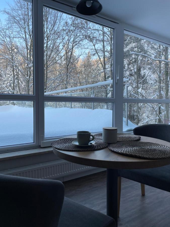 Apartament Kurort Kozubnik - Taras Nad Potokiem Porąbka Exteriér fotografie